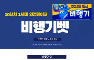 비행기벳