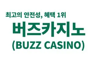 버즈카지노