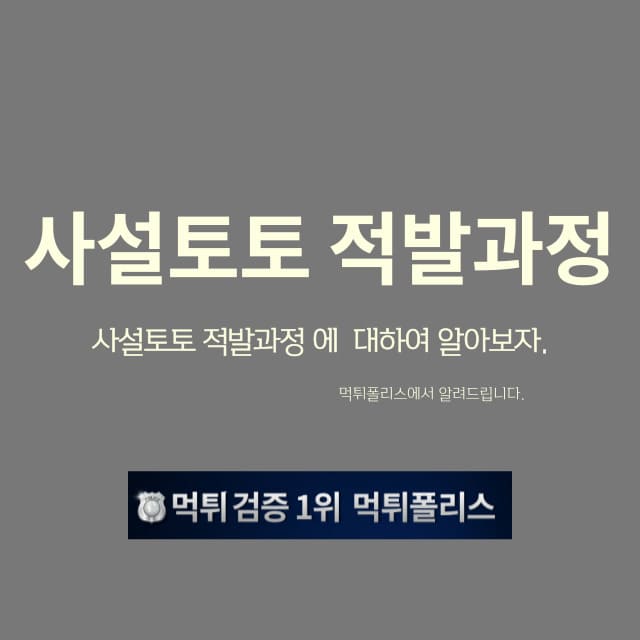 사설토토 적발과정 사설토토 적발과정