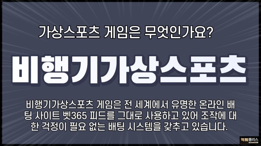 비행기가상스포츠 비행기가상스포츠