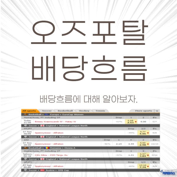 오즈포탈 배당흐름 오즈포탈 배당흐름