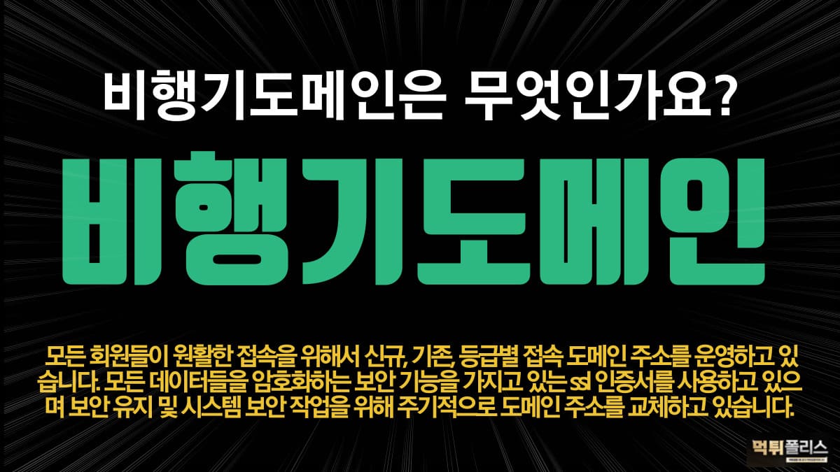 비행기도메인 비행기도메인