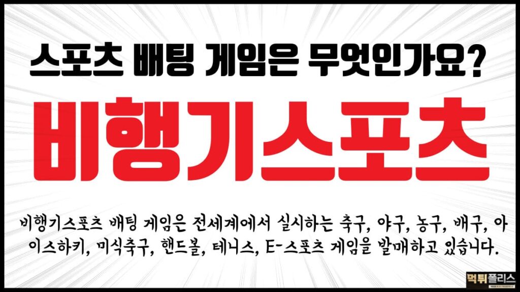 비행기스포츠 비행기스포츠
