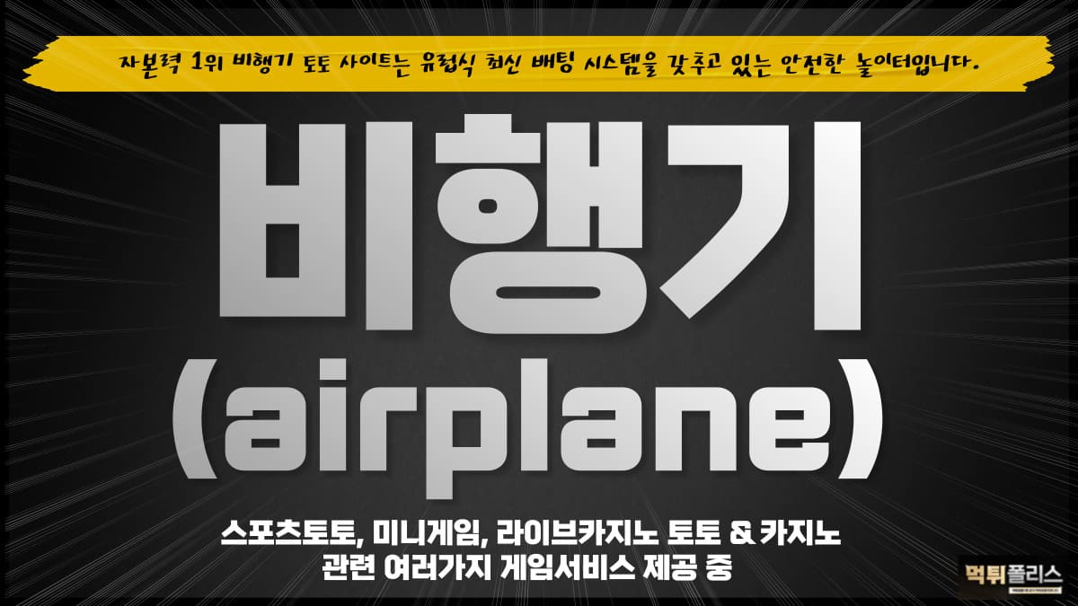 비행기 비행기