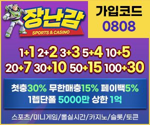 토토사이트 장난감