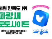파랑새 토토사이트