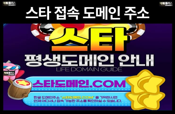스타 접속 도메인 주소