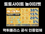 토토사이트 놀이터벳