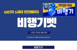 비행기벳