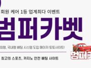 범퍼카벳