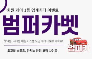 범퍼카벳