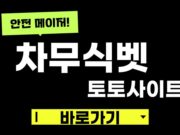 차무식벳
