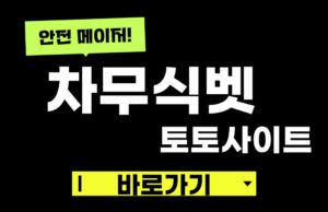 차무식벳