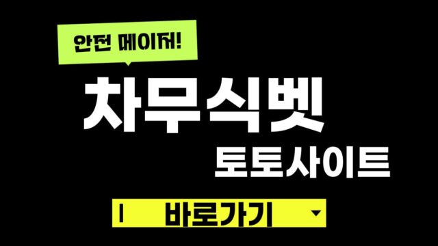 차무식벳
